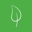 Natural Cleaning Icon
